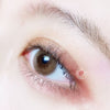 TopsFace Iris Brown Colored Contact Lenses